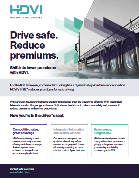 Drive safe reduce premiums flyer thumbnail